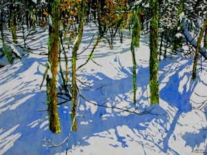 Windy day riot of sunlight and shadow moving quickly across unstructured silence of the forest floor 22x35