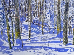 morning-light-sweeping-thru-the-forest-24x48-